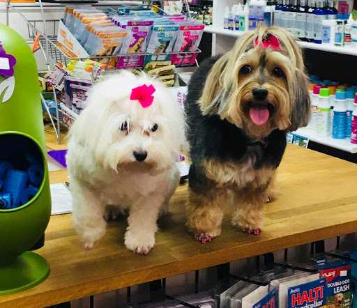 Pet Supply Store «Woof Gang Bakery & Grooming Abacoa», reviews and photos, 5440 Military Trail #7, Jupiter, FL 33458, USA