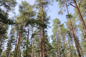 Detskiy Ozdorovitel'nyy Lager' "Bolashak" image