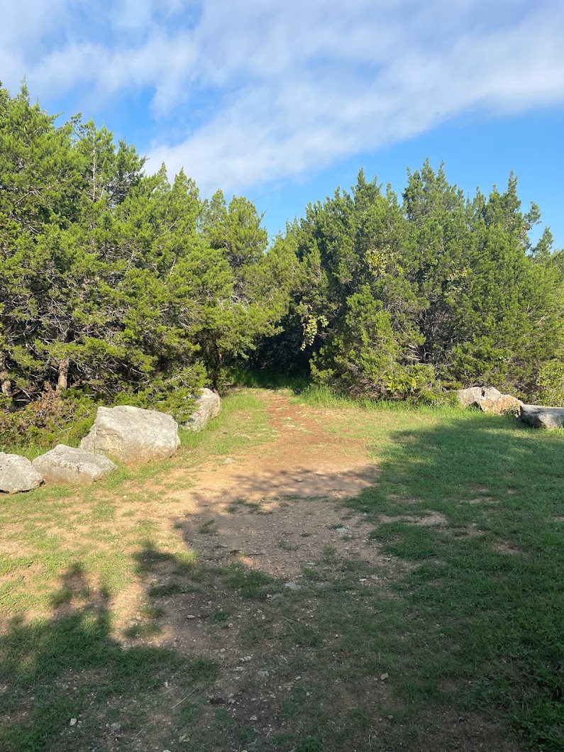 Treehouse Cave Preserve