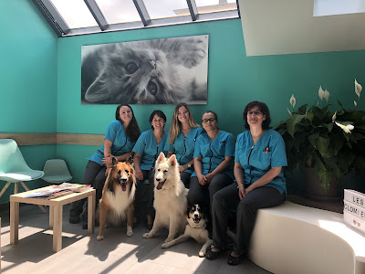 Clinique Vétérinaire des Clomiers à Talant