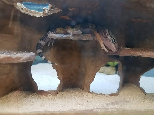 Pet Supply Store «Petco Animal Supplies», reviews and photos, 129 Mall Way, Marysville, WA 98270, USA