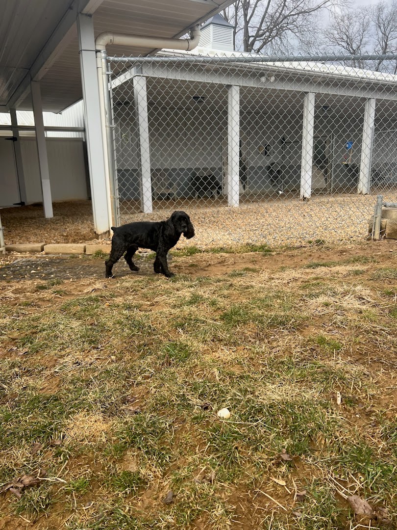 Pet Retreat At Paramount Farms
