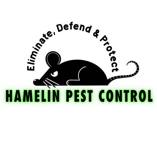 Hamelin Pest Control - Pest control service
