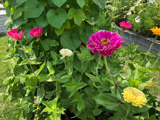 Nature Preserve «Grace Farms», reviews and photos, 365 Lukes Wood Rd, New Canaan, CT 06840, USA