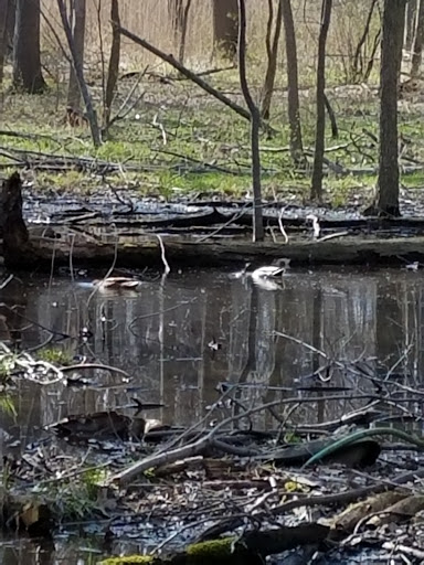 Golf Course «Black Brook Golf Course & Practice Center», reviews and photos, 8900 Lakeshore Blvd, Mentor, OH 44060, USA