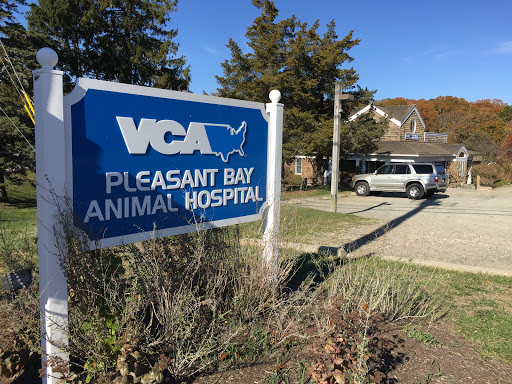 Peter Watts DVM image