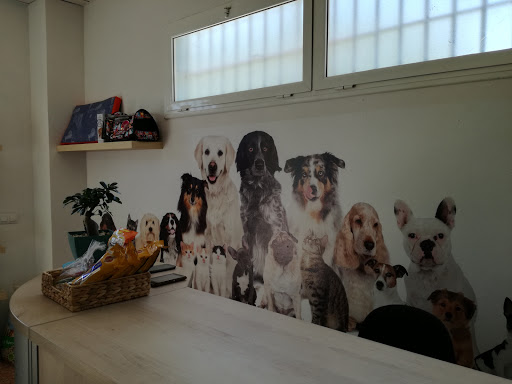 Clínica Veterinaria Duo en Sevilla