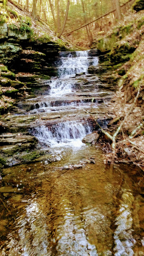 Waterman Conservation Education Center image 7