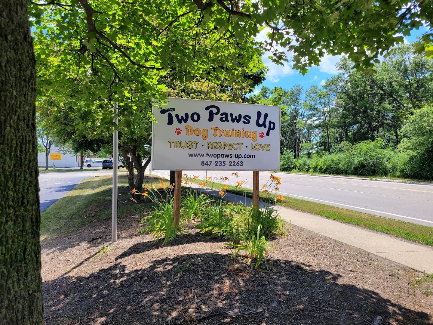 Two Paws Up Dog Training, Inc.
