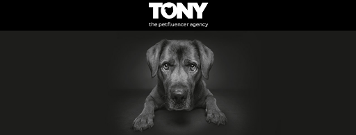 TONY the petfluencer agency GmbH & Co. KG