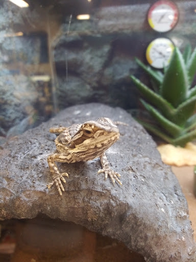 Pet Supply Store «Petco Animal Supplies», reviews and photos, 19767 Haynes Road, Catoosa, OK 74421, USA