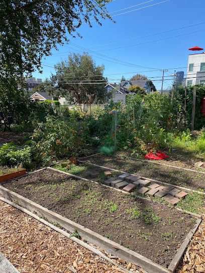 Immaculate P-Patch Community Gardens