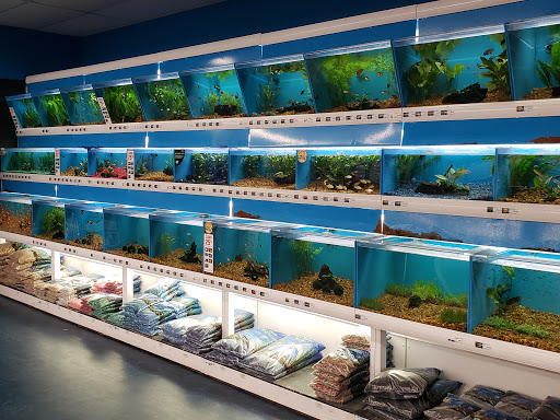 Pet Supply Store «Pet Supermarket», reviews and photos, 1125 Royal Palm Beach Blvd, Royal Palm Beach, FL 33411, USA