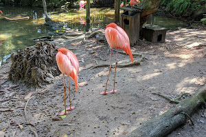 Palm Beach Zoo