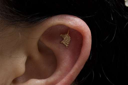 Explore two sons tattoo ideas, creative tattoo ideas in Corona Del Mar, available at Rainbow Piercing & Jewelry