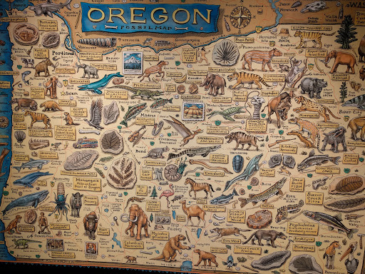 Museum «Museum of Natural and Cultural History», reviews and photos, 1680 E 15th Ave, Eugene, OR 97401, USA