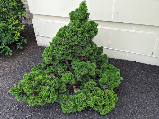 Lodge «Penn Wells Lodge», reviews and photos, 4 Main St, Wellsboro, PA 16901, USA