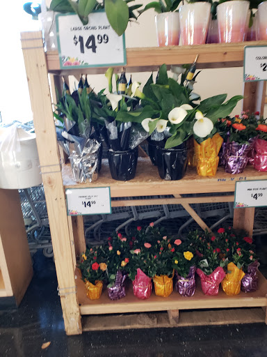 Health Food Store «Sprouts Farmers Market», reviews and photos, 8601 W Cross Dr, Littleton, CO 80123, USA