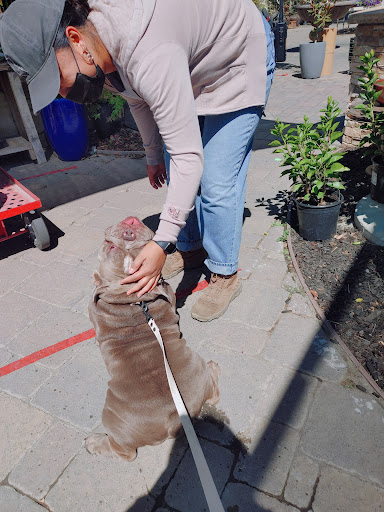 Building Materials Store «Silverado Building Materials», reviews and photos, 9297 Jackson Rd, Sacramento, CA 95826, USA