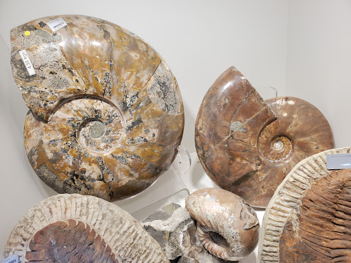 Jeweler «Breckenridge Jewelers», reviews and photos, 215 S Main St, Breckenridge, CO 80424, USA