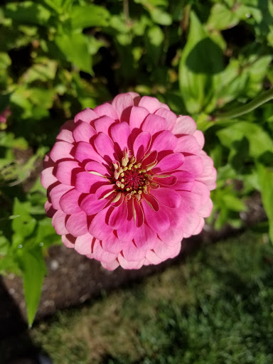 Cafe «Stonewall Kitchen Cafe», reviews and photos, 2 Stonewall Ln #1, York, ME 03909, USA