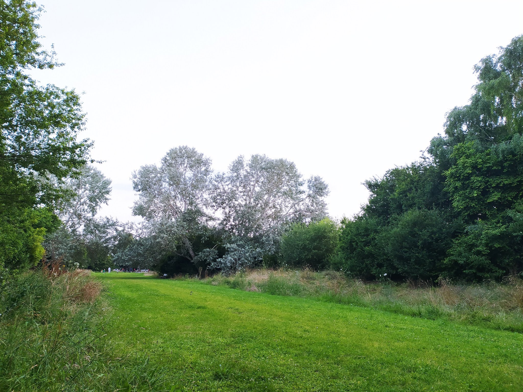 Photo n° 1 de l'avis de François. fait le 30/07/2021 à 20:03