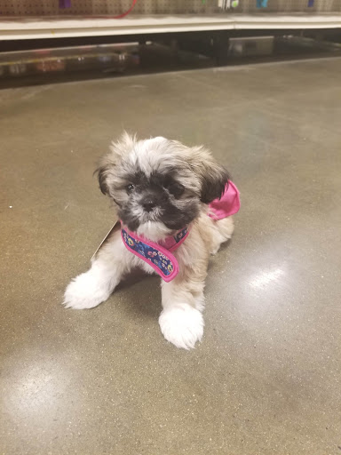 Pet Supply Store «PetSmart», reviews and photos, 145 Promenade Blvd, Bridgewater, NJ 08807, USA