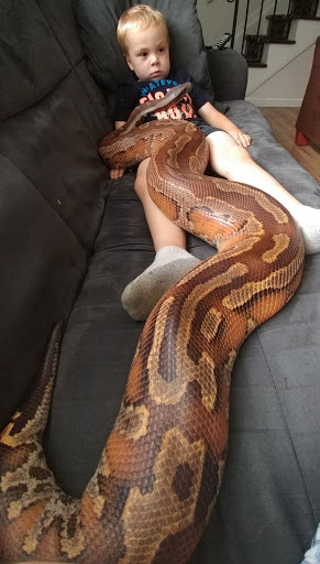 Pet Store «The Pet Stop Pet Shop», reviews and photos, 5152 Route 9w, Newburgh, Newburgh, NY 12550, USA