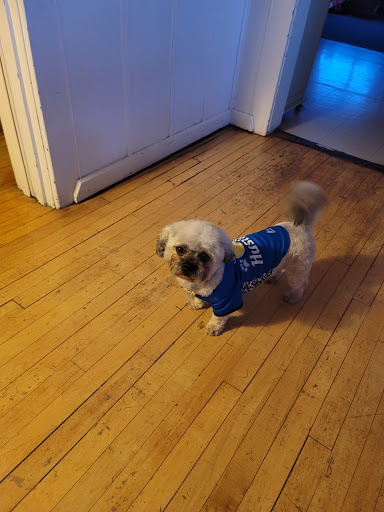 Pet Supply Store «Petco Animal Supplies», reviews and photos, 1201 E Washington Ave, Union Gap, WA 98903, USA