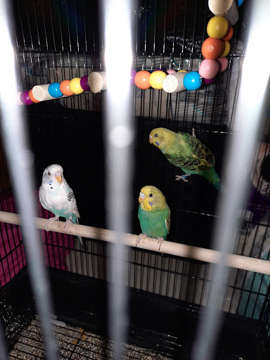 Pet Supply Store «PetSmart», reviews and photos, 6807 W Canal Dr, Kennewick, WA 99336, USA