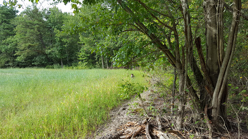Park «Glassboro Wildlife Management Area», reviews and photos, Fries Mill Rd, Clayton, NJ 08312, USA