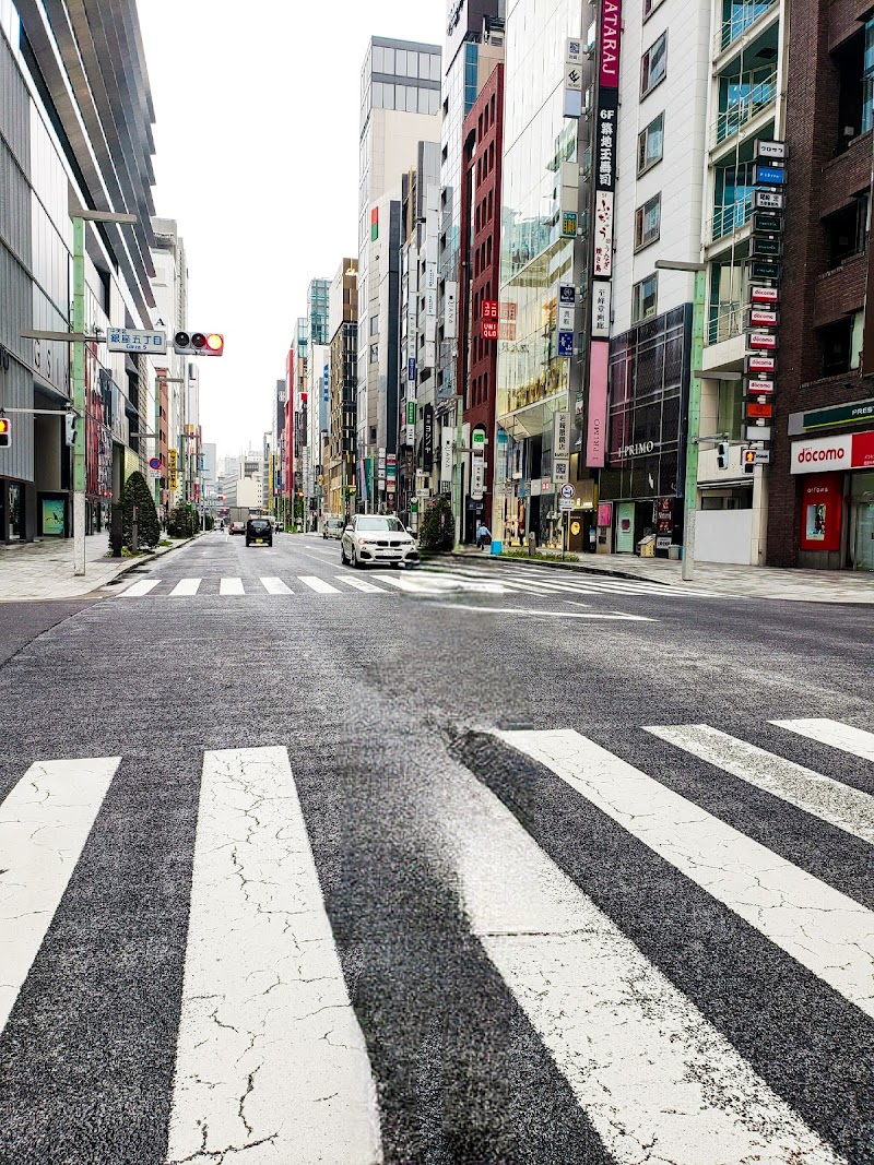 ginza 6鸟屋书店 艺术类书