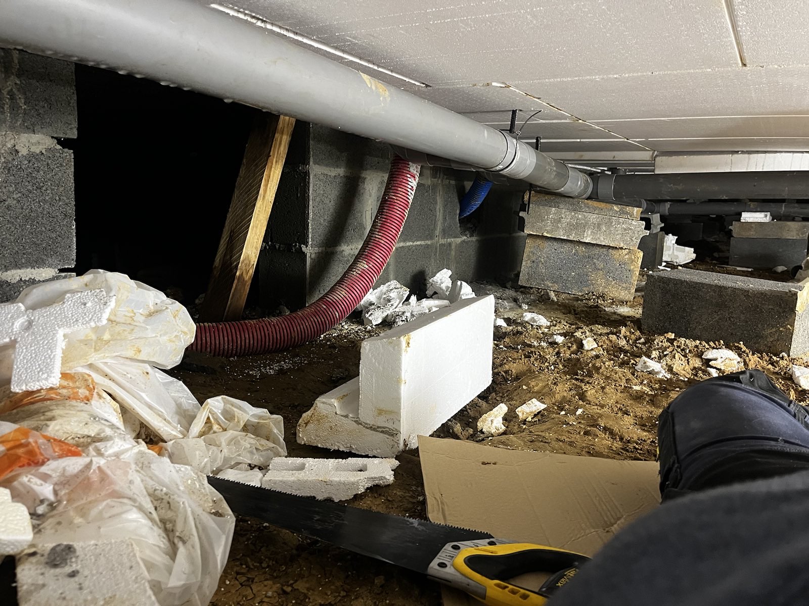Photo n° 3 de l'avis de Romain.e fait le 31/01/2024 à 23:03