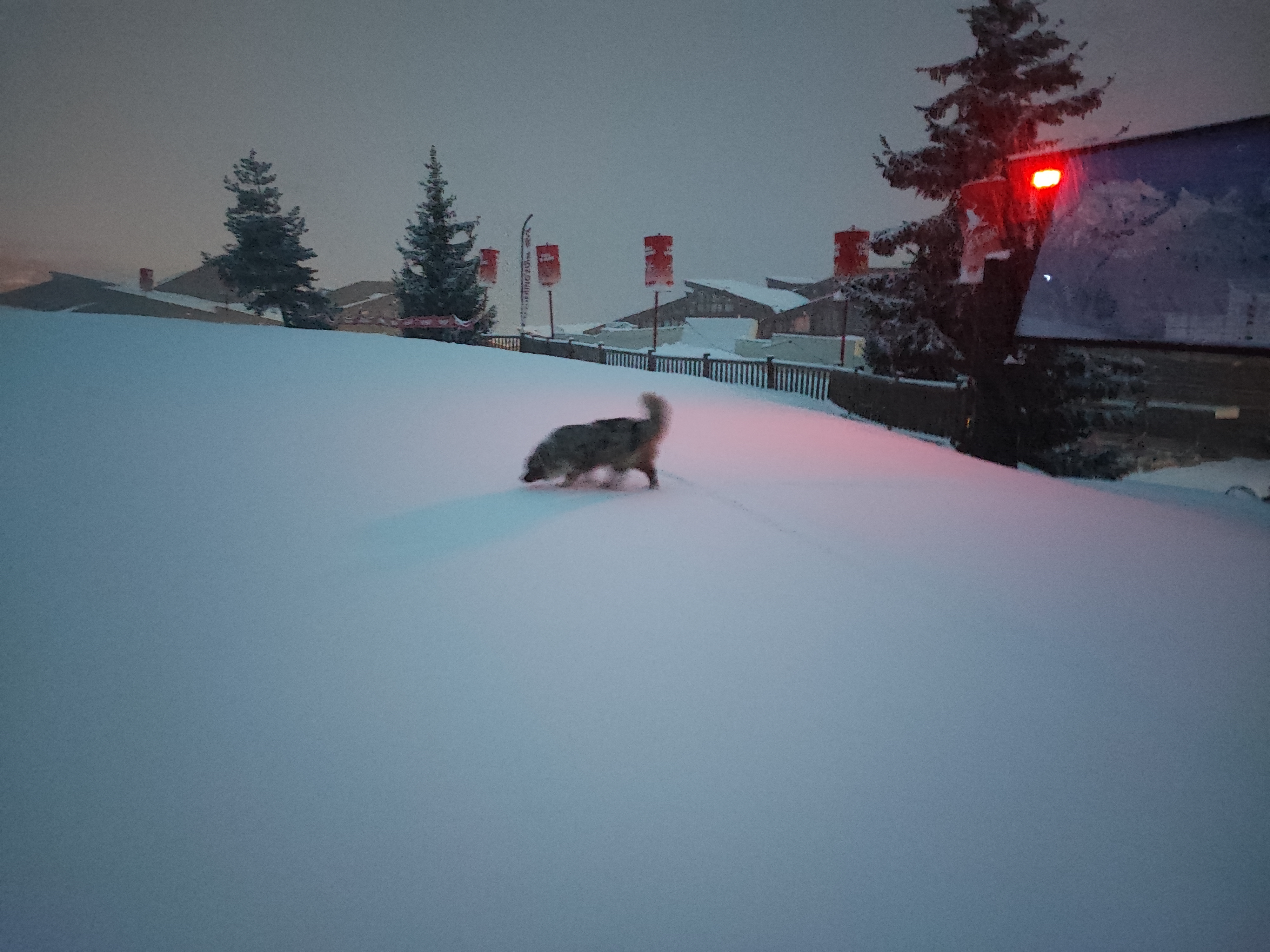 Photo n° 13 de l'avis de Jan.u fait le 10/03/2024 à 10:21