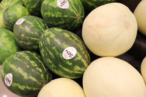 Grocery Store «Food Lion», reviews and photos, 85 Maddex Square Dr, Shepherdstown, WV 25443, USA