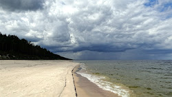 Sztutowo beach entr 55'in fotoğrafı vahşi alan