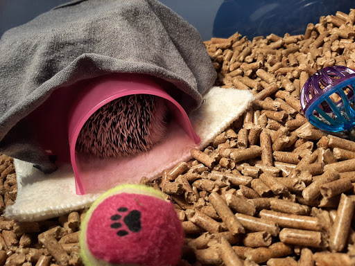 Pet Supply Store «Petco Animal Supplies», reviews and photos, 16434 N Marketplace Blvd, Nampa, ID 83651, USA