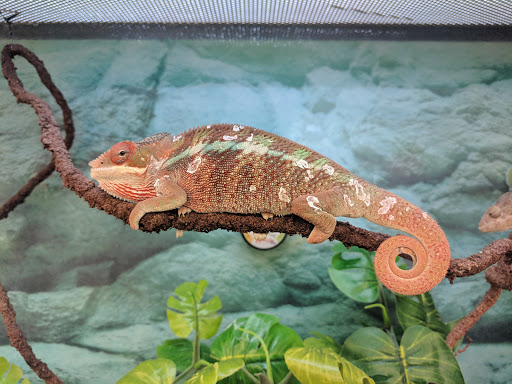 Pet Supply Store «Petco Animal Supplies», reviews and photos, 4012 W 27th Ave, Kennewick, WA 99337, USA