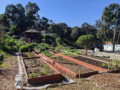 East LA Learning Garden & Mott Street Urban Farm
