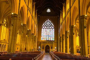 St Patrick's Cathedral image