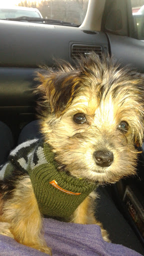 Pet Store «Pet Valu», reviews and photos, 401 Harmony Rd, Gibbstown, NJ 08027, USA