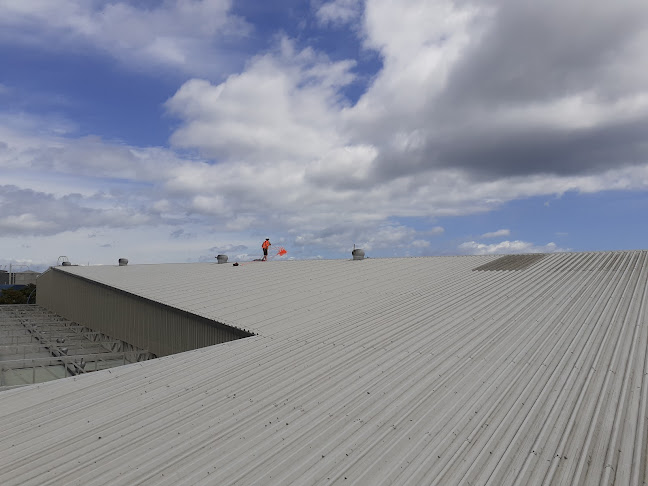 Reviews of Burrows Roof Cleaning Services in Whitianga - Construction company