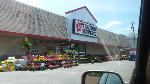 Home Improvement Store «Tractor Supply Co.», reviews and photos, 294 E Church St, Jasper, GA 30143, USA