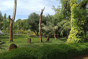 Calicut University Botanical Garden image