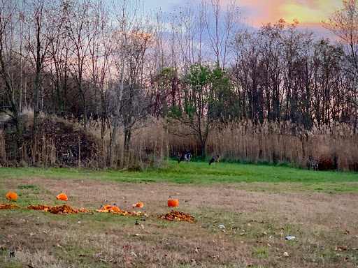 Golf Course «RiverWinds Golf & Tennis Club», reviews and photos, 270 Eagle Point Rd, West Deptford, NJ 08086, USA