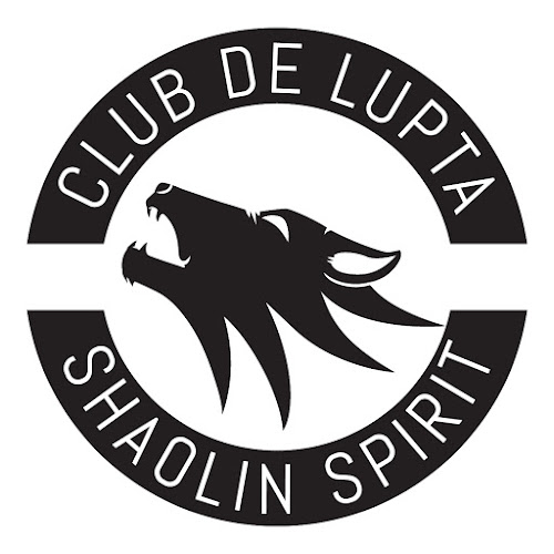 Club de lupta Shaolin Spirit Timisoara - MMA, grappling, kickbox - <nil>