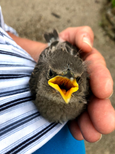 Winery «Lanthier Winery», reviews and photos, 123 Mill St, Madison, IN 47250, USA