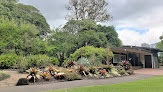 Best Botanical Gardens In Honolulu Near You