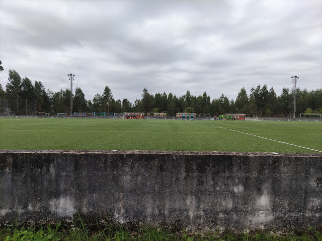 Escola de Futebol Dragon Force Viana do Castelo - Viana do Castelo