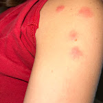 Photo n°5 de l'avis de Daniel.o fait le 08/06/2023 à 11:44 sur le  Gästehaus Windheim Knielingen2 à Karlsruhe